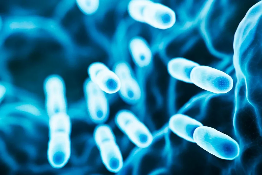 LAS ENORMES IMPLICACIONES DE ESTE HALLAZGO CON LAS BACTERIAS