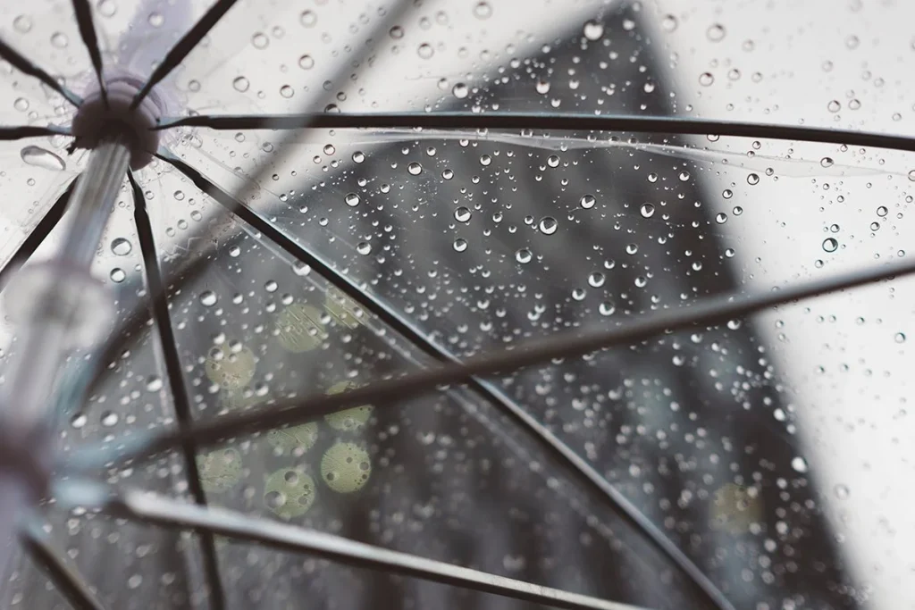 LAS VENTAJAS DE ESTE MÉTODO QUE USA EL AGUA DE LLUVIA
