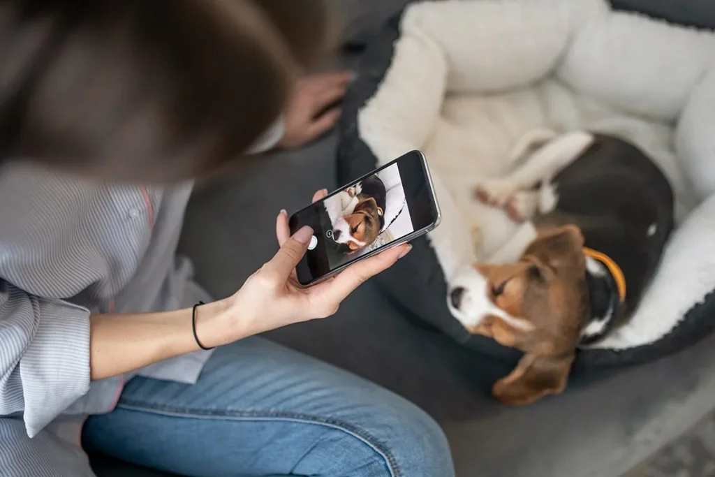 LAS VIDEOLLAMADAS A LAS MASCOTAS ESTÁN DE MODA