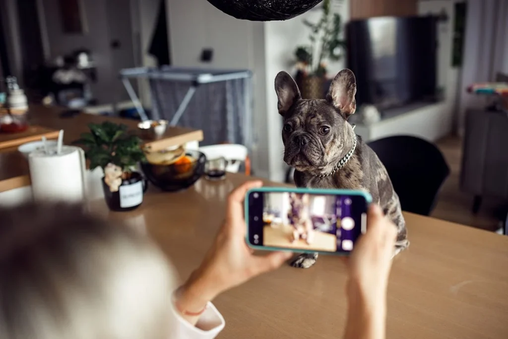 LAS VIDEOLLAMADAS NO SIEMPRE SON ADECUADAS