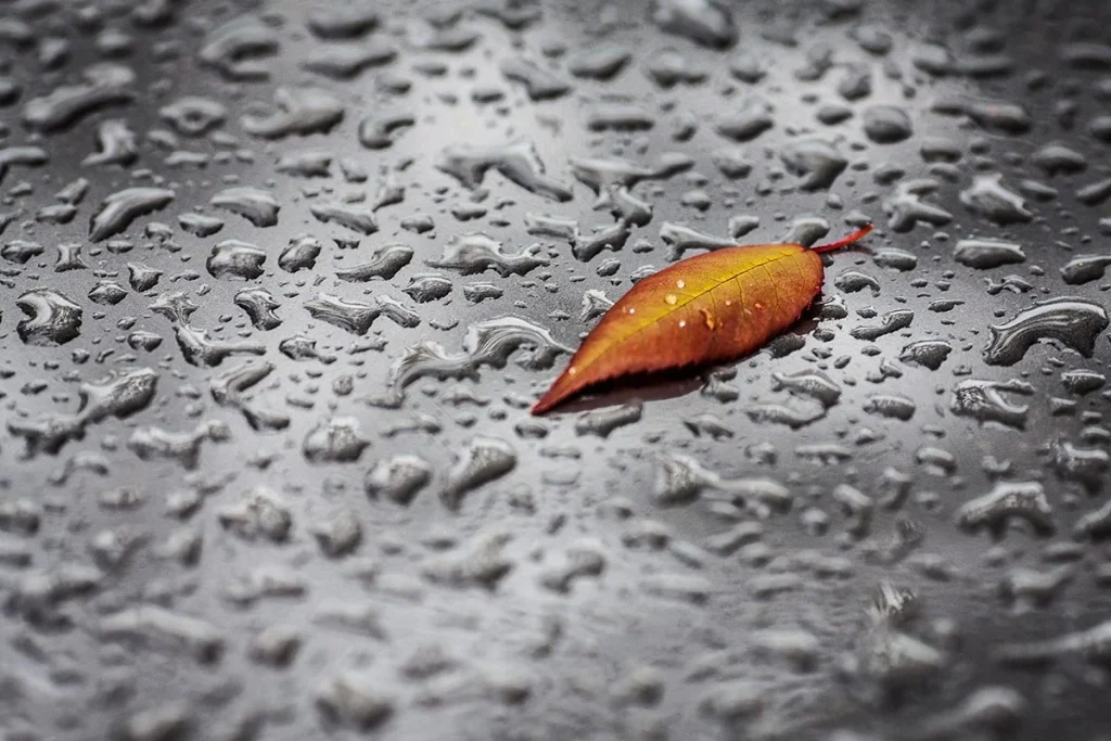 LOS INVESTIGADORES CONSIGUEN APROVECHAR EL AGUA DE LLUVIA