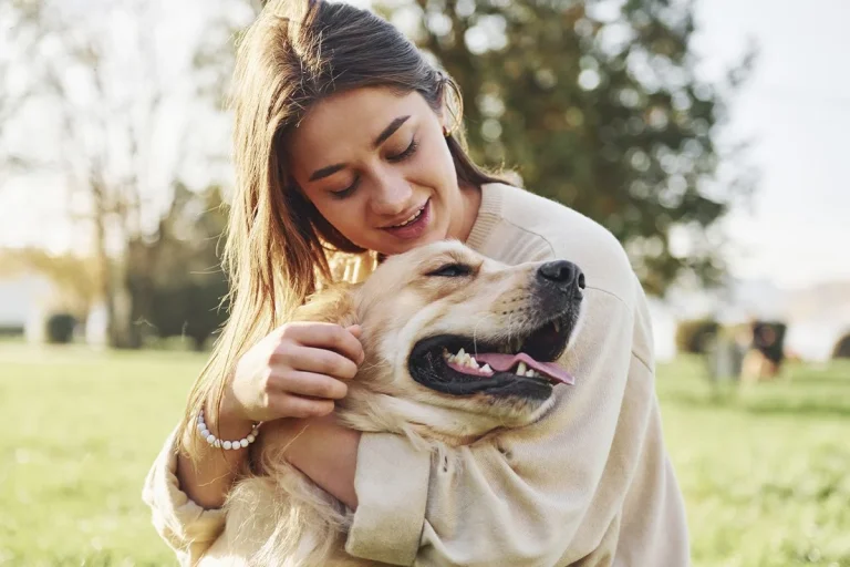 El calor extremo no solo nos afecta a nosotros, sino que también pone en riesgo la salud de nuestras mascotas
