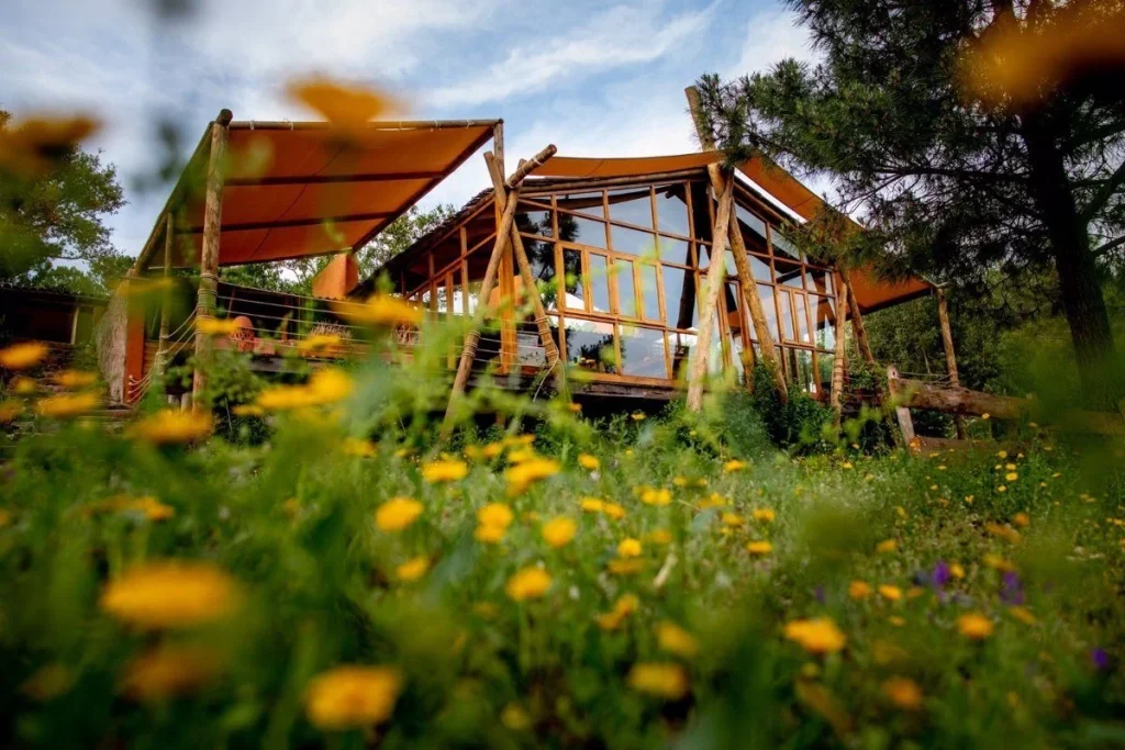 Los ataques siguen activos y evolucionan constantemente