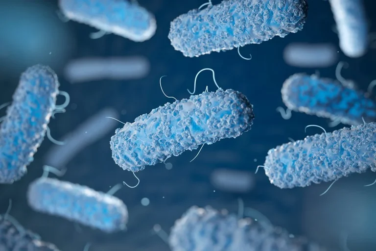 Los científicos se sorprenden ante las bacterias que respiran electricidad y viven sin oxígeno