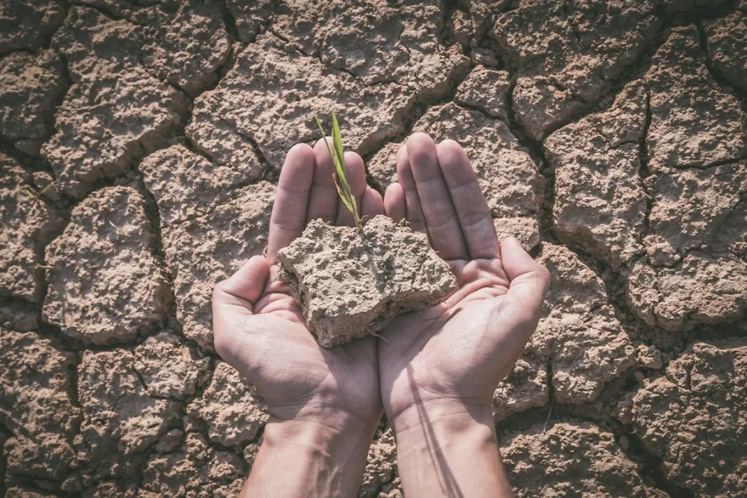 MEDIDAS CONSIDERADAS CONTRA EL CAMBIO CLIMÁTICO