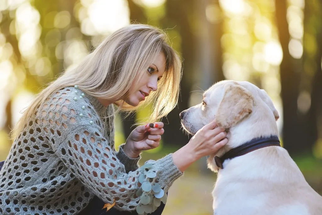 MEJORÍA EN LOS PERROS