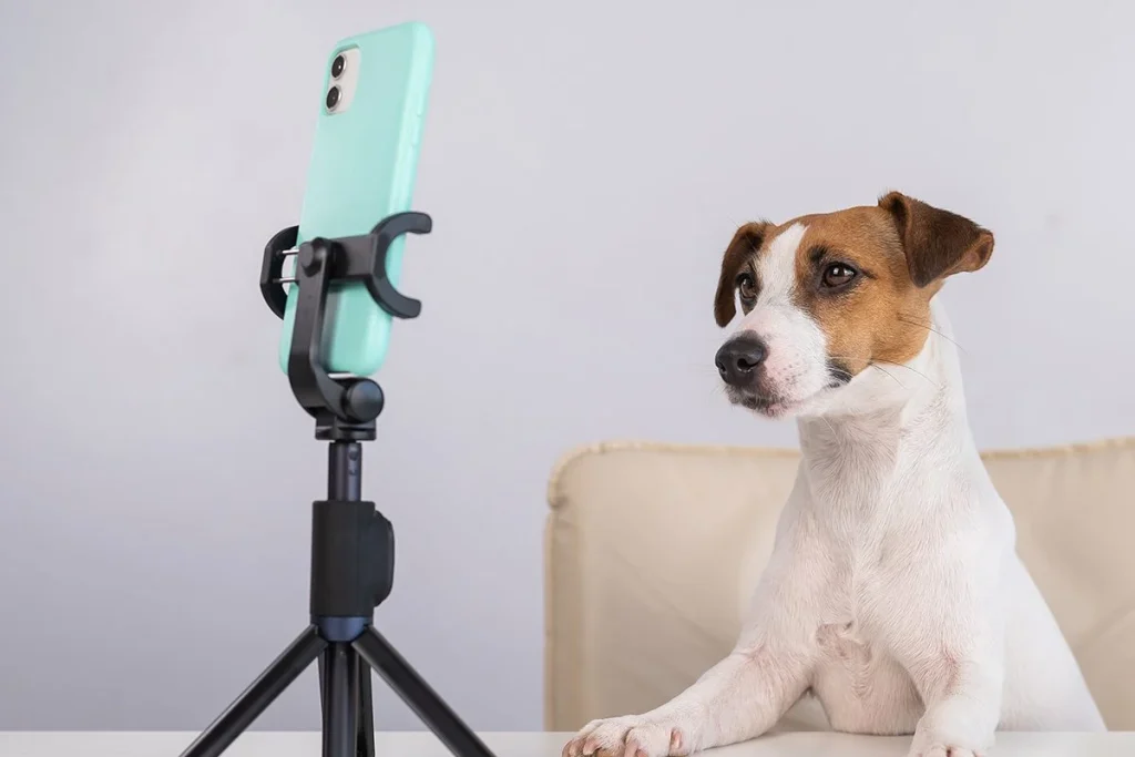 NO HACER VIDEOLLAMADAS CON MUCHA FRECUENCIA