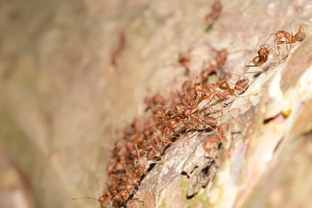 OTRA DE LAS CLAVES PARA EVITAR ATASCOS