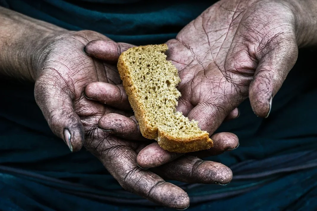 SEGÚN LA CIA HABRÁ FALTA DE ALIMENTOS