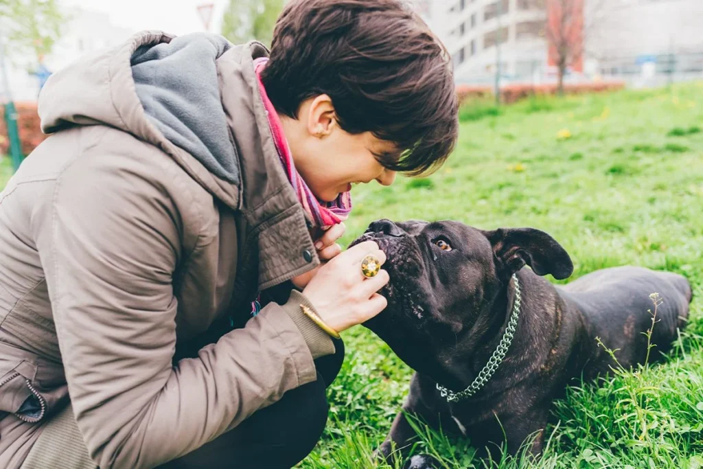 Los alimentos prohibidos: lo que jamás debe comer tu mascota
