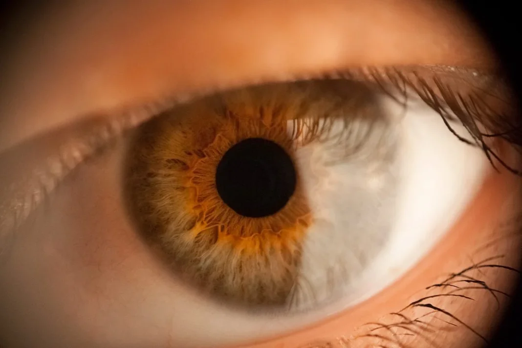 TRATAMIENTO CONTRA LA DEGENERACIÓN MACULAR QUE AFECTA A LA VISTA