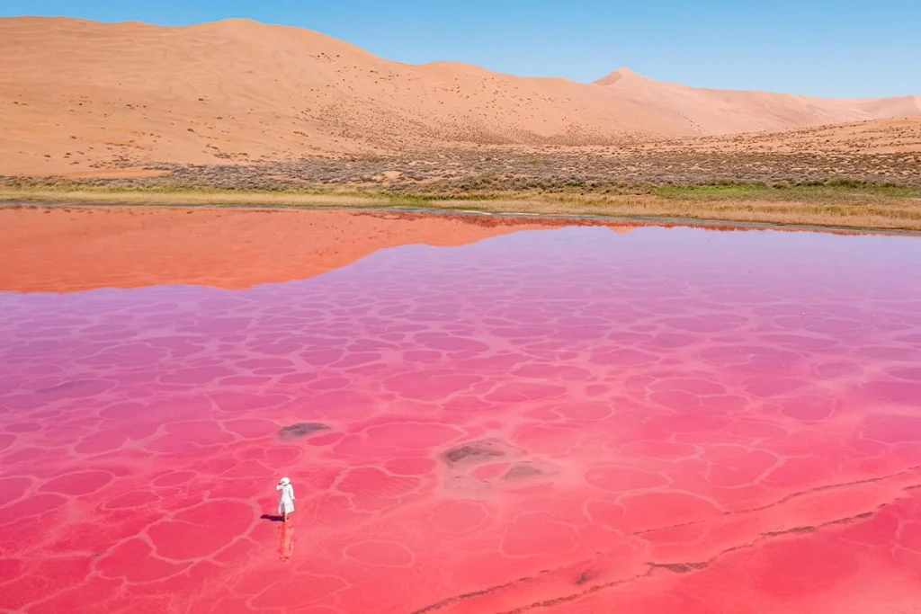 UN ECOSISTEMA LETAL PERO VITAL EN ÁFRICA
