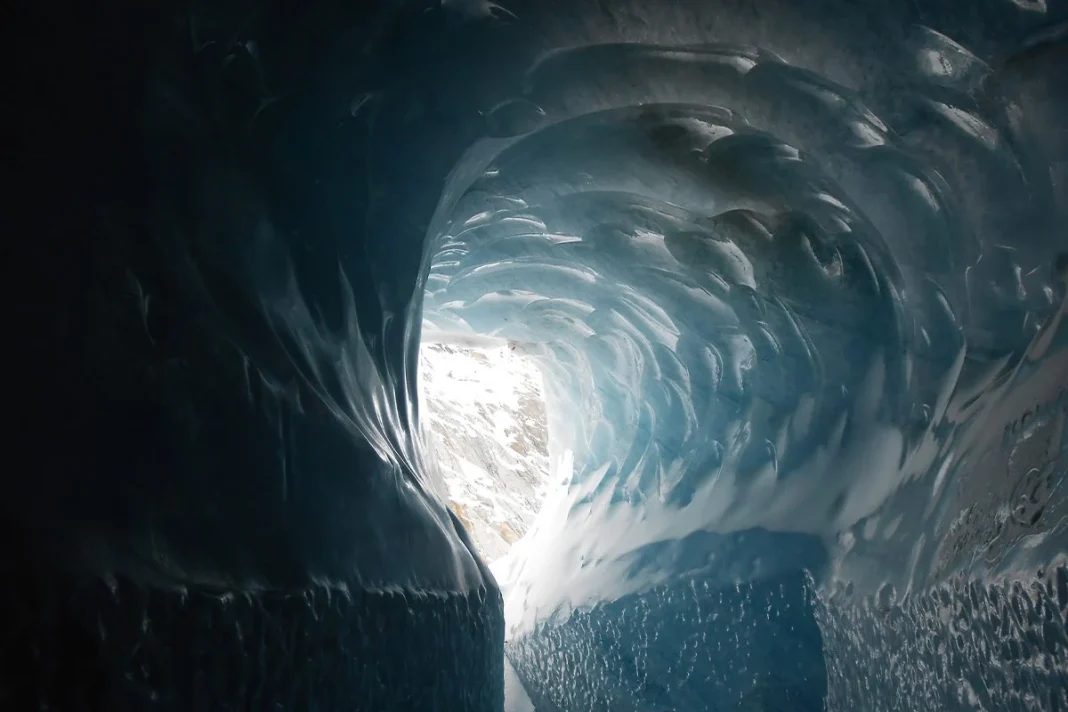 UN MUNDO QUE SE CREÍA EXTINGUIDO