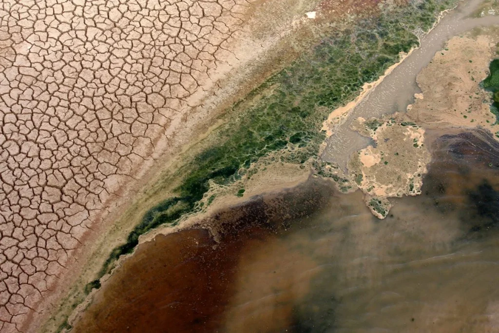 UN PLAN PARA EL CAMBIO CLIMÁTICO INSPIRADO EN EL PROYECTO 'PLOUGHSHARE'