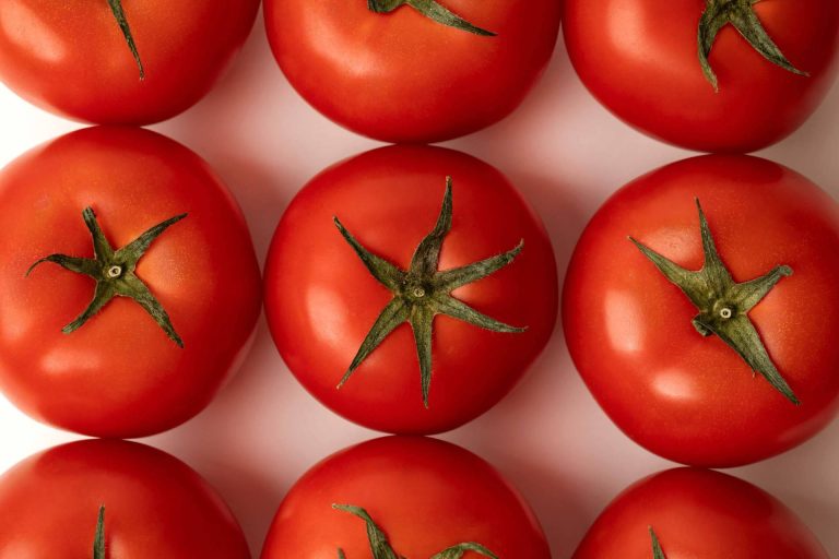 ¿Qué tipo de tomate pide cada receta?