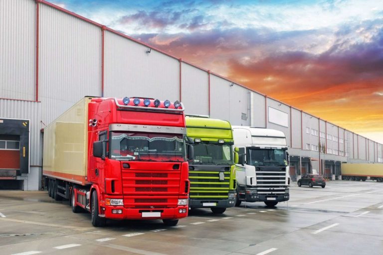 Transvolando impulsa el transporte internacional para empresas que quieren crecer sin fronteras