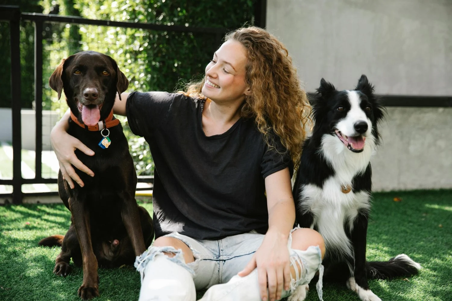 Estas son las enfermedades que los perros pueden detectar incluso antes del médico | Fuente: Pexels Estas son las enfermedades que los perros pueden detectar incluso antes del médico