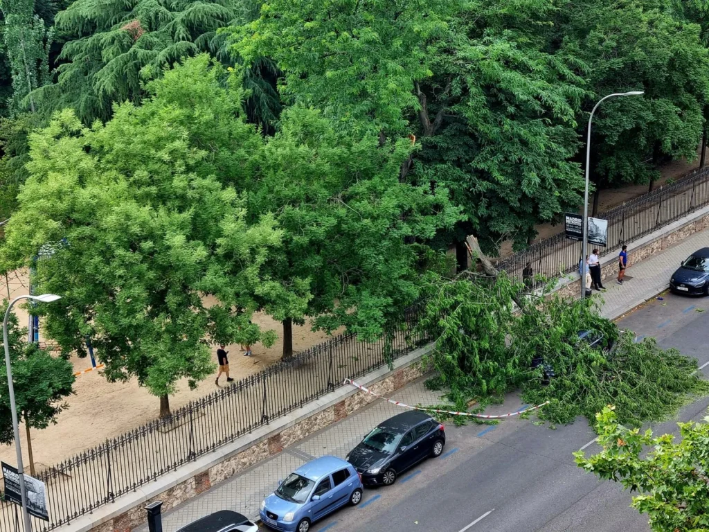 rama coche caida el retiro