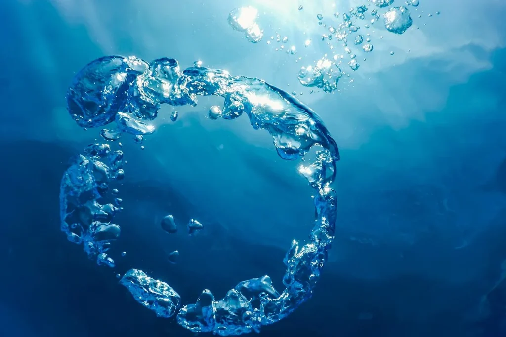 ¿A QUÉ SE DEBE ESTE COMPORTAMIENTO DE LAS BALLENAS EN EL MAR?