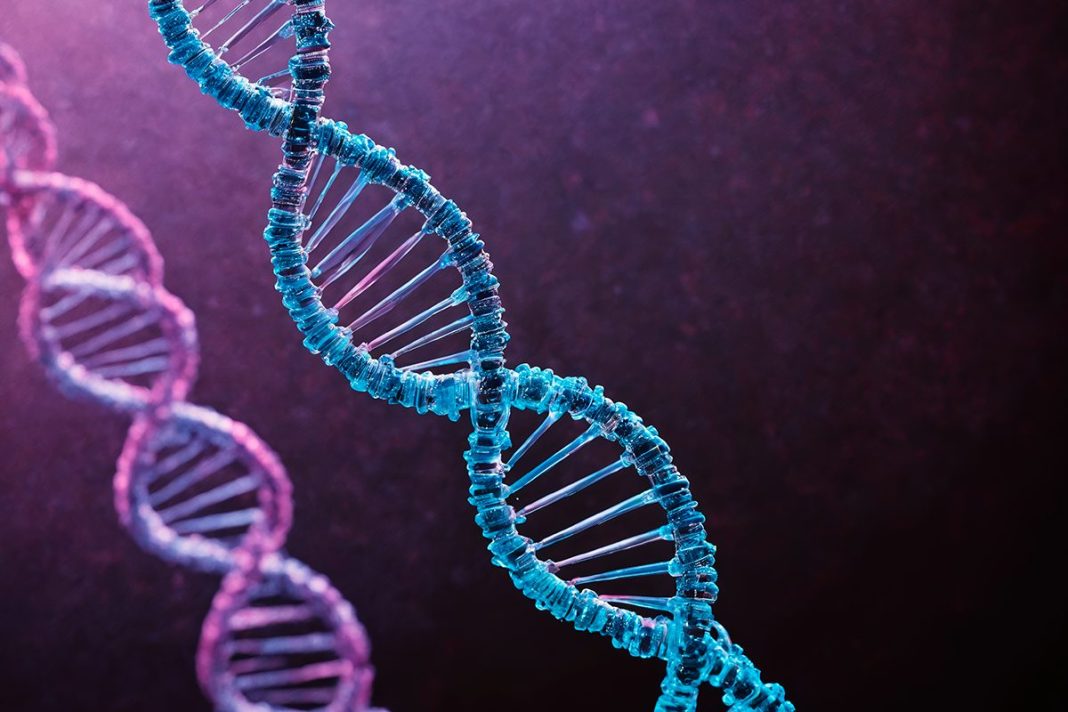 2% DEL GENOMA HUMANO TOTAL