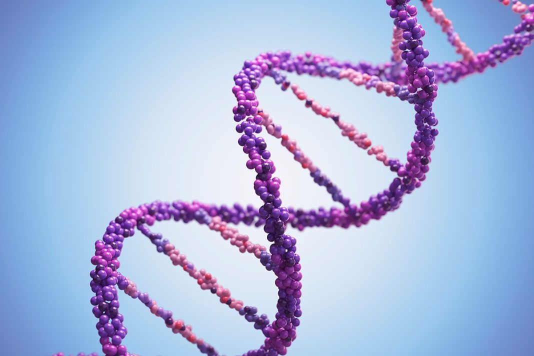 AÚN LEJOS DEL GENOMA HUMANO COMPLETO