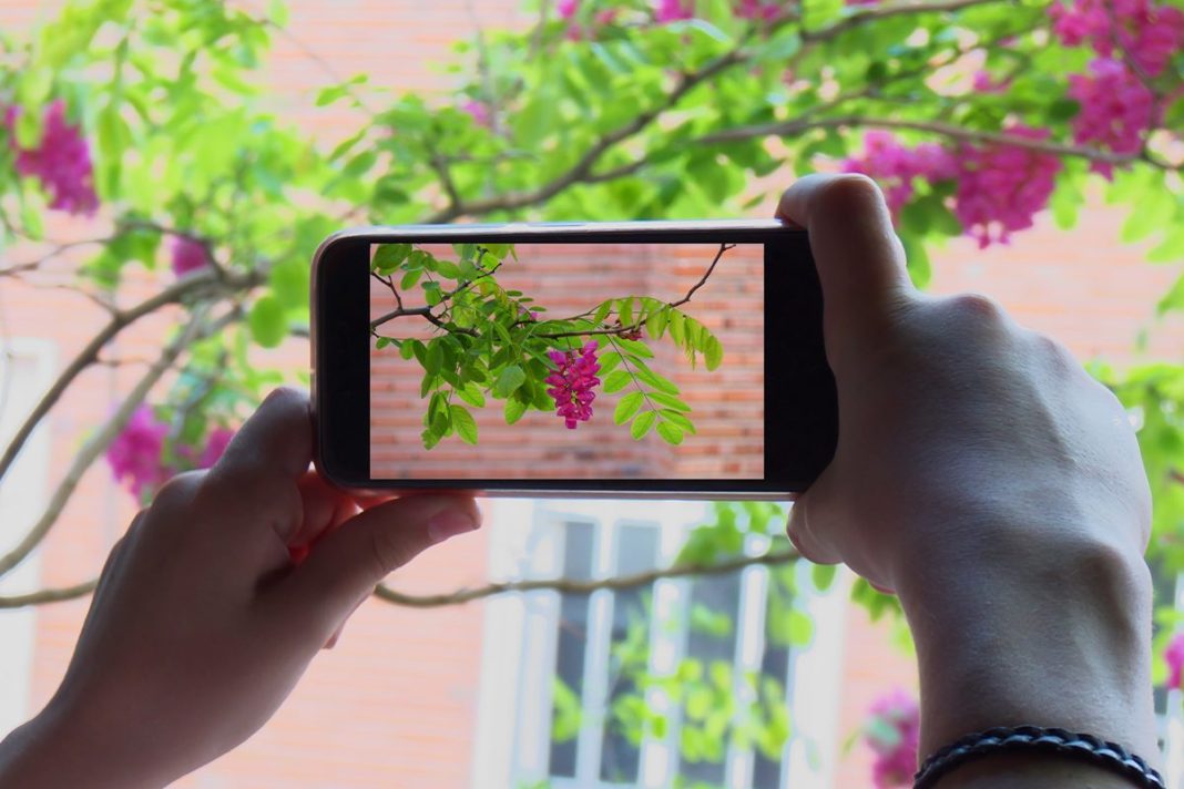 CÓMO USAR GOOGLE FOTOS PARA MEJORAR LOS VÍDEOS