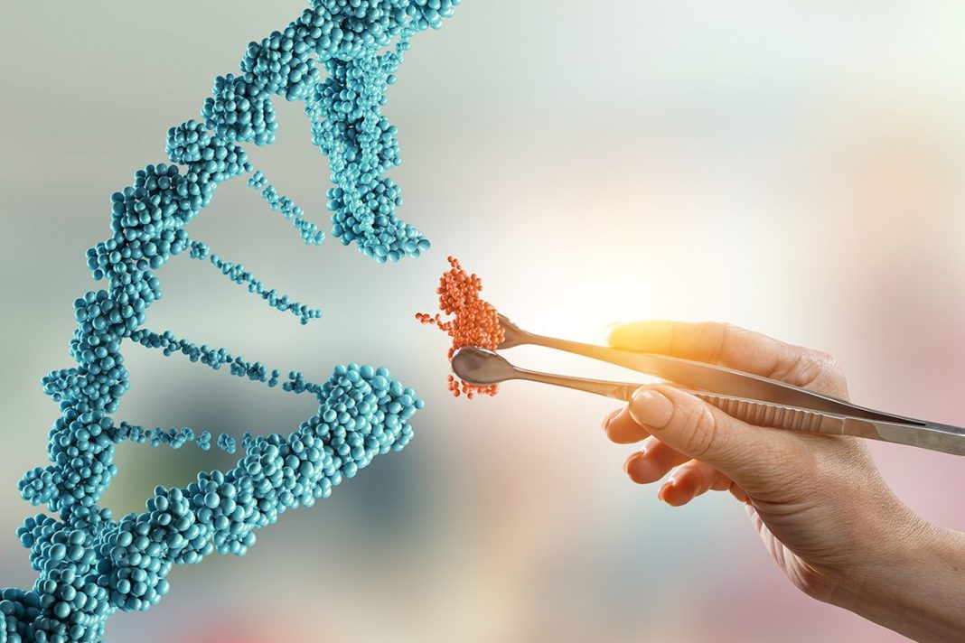 DEBATE SOBRE EL USO DEL GENOMA HUMANO ARTIFICIAL