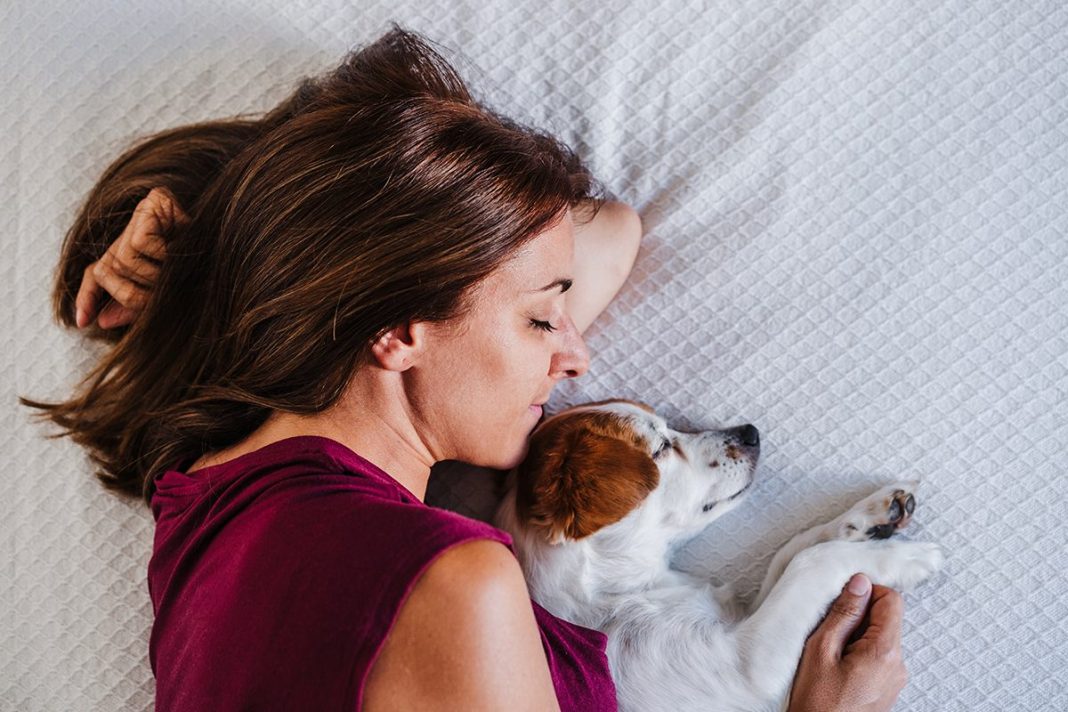 DIFERENCIAS ENTRE LAS RAZAS DE PERROS