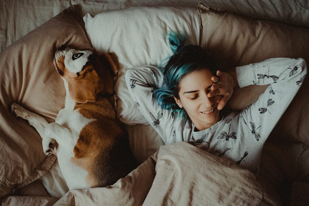 DORMIR CON TU PERRO REFUERZA EL VÍNCULO EMOCIONAL