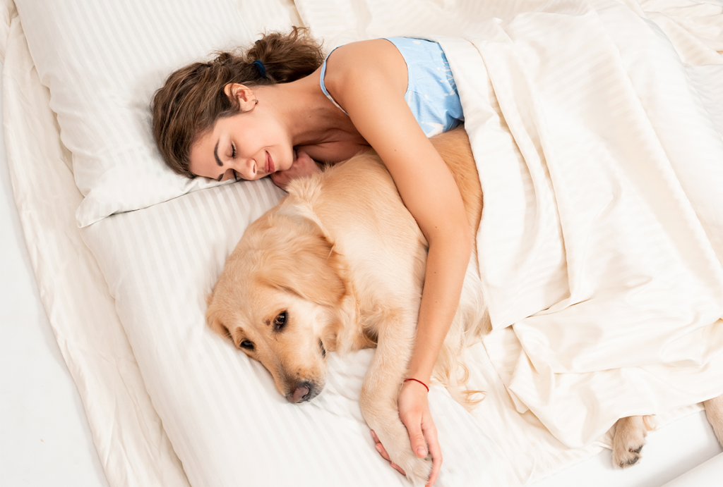 DORMIR CON TU PERRO TIENE BENEFICIOS A NIVEL EMOCIONAL