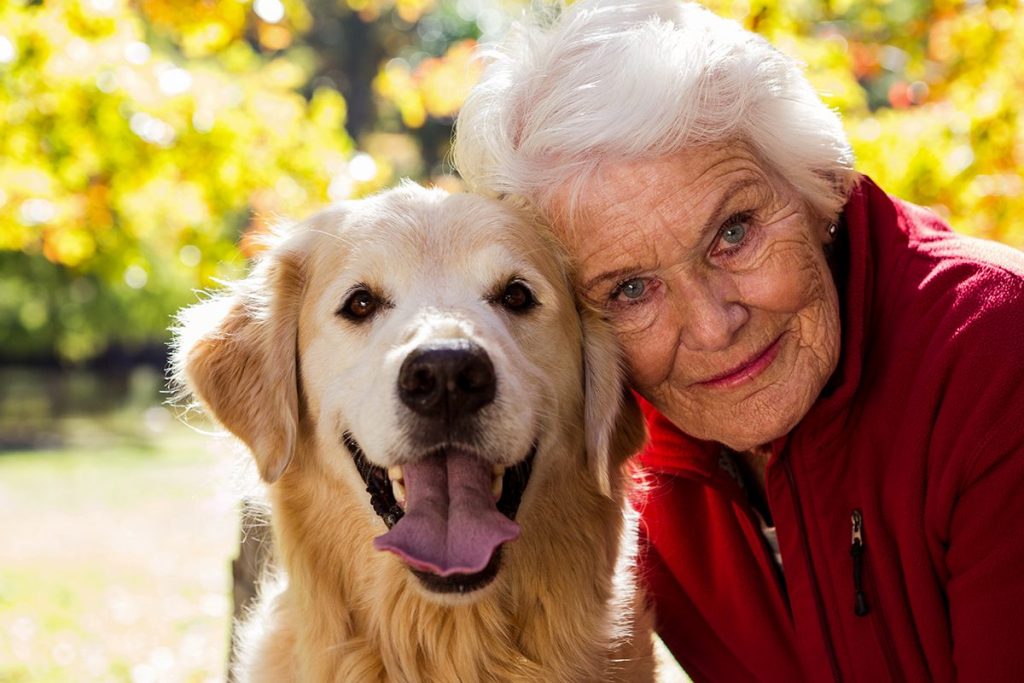 La ciencia del vínculo más fiel: por qué el perro es mucho más que una mascota 122 La zooterapia: cuando el perro se convierte en sanador profesional