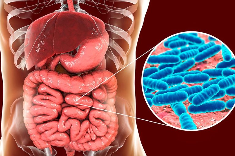 Descubren un 'sexto sentido' en el intestino que sirve para regular el apetito