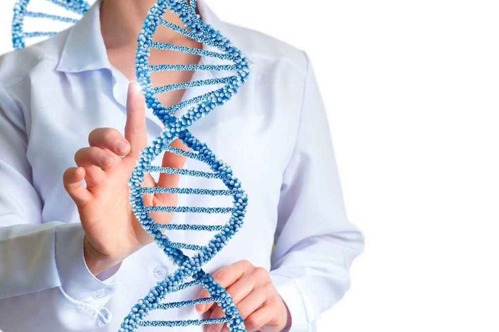 EL GENÓMA HUMANO SINTÉTICO PUEDE SER UNA REVOLUCIÓN