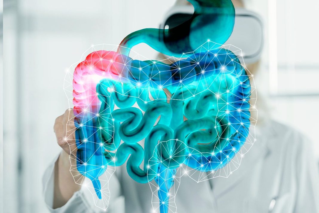 EL SEXTO SENTIDO OCULTO EN EL INTESTINO