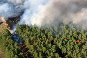 EXISTEN LOS INCENDIOS BUENOS