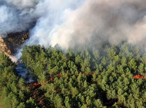 EXISTEN LOS INCENDIOS BUENOS EXISTEN LOS INCENDIOS BUENOS