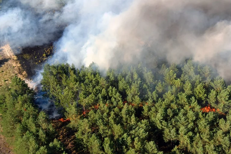 La AEMET activa la alerta por peligro extremo de incendios este miércoles, día del eclipse solar