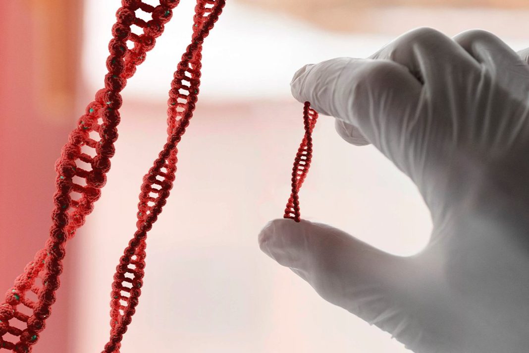 GENOMA HUMANO DESDE CERO