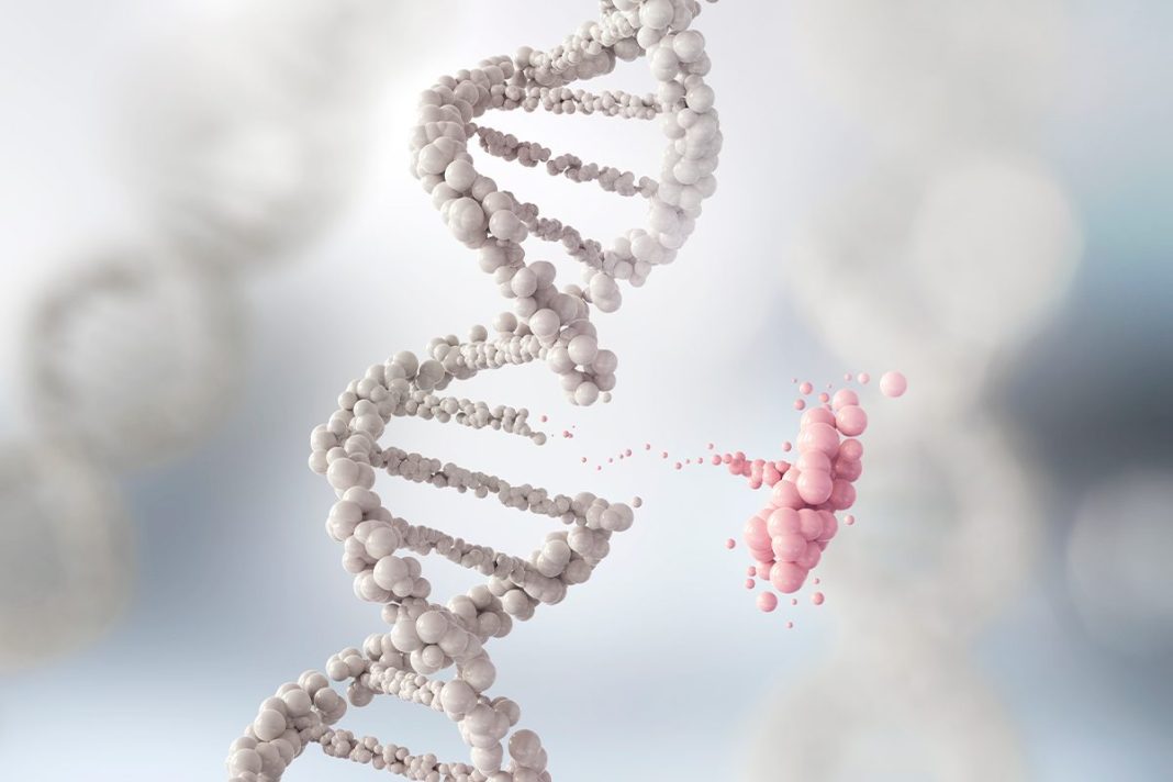 GENOMA HUMANO SINTÉTICO