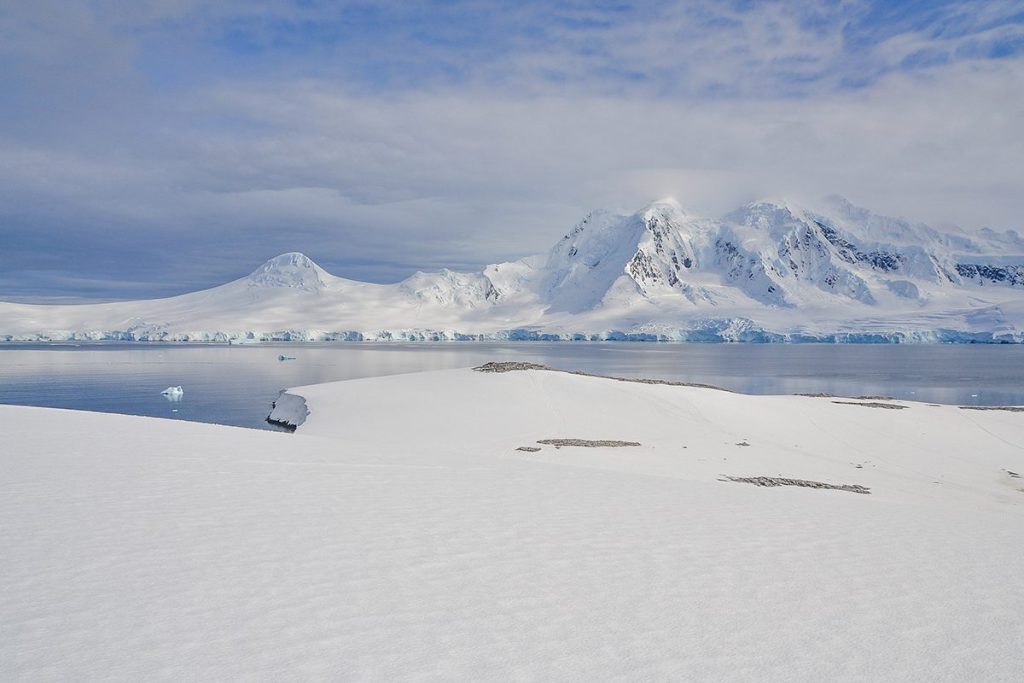 IMPACTANTE HALLAZGO EN LA ANTÁRTIDA
