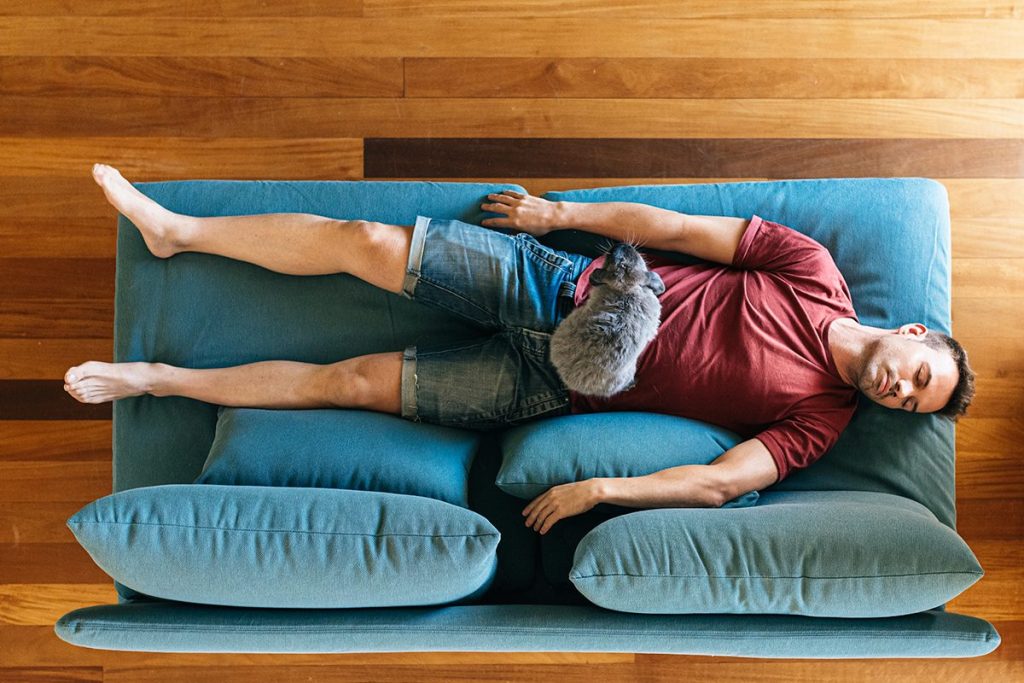 LA CLAVE ESTÁ EN LA SIESTA DE 20 MINUTOS