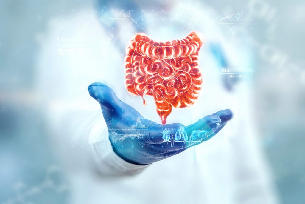 LA INFLUENCIA DEL INTESTINO EN EL COMPORTAMIENTO ALIMENTICIO