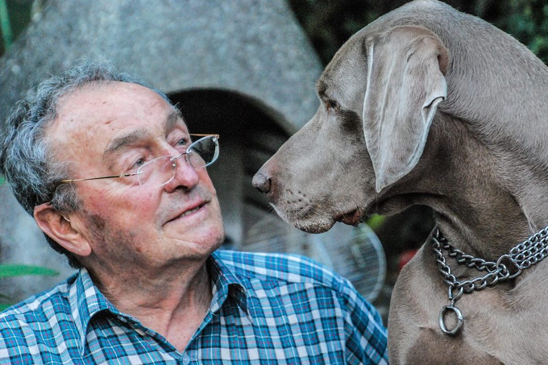 Soledad, ansiedad y vínculos humanos: cómo el perro transforma la salud mental