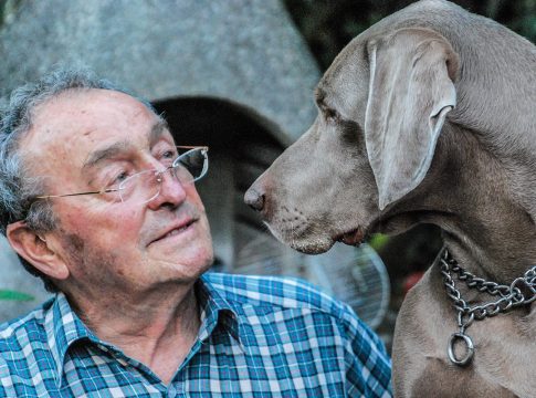 Soledad, ansiedad y vínculos humanos: cómo el perro transforma la salud mental Soledad, ansiedad y vínculos humanos: cómo el perro transforma la salud mental