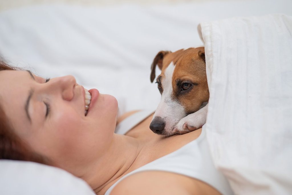 LOS PERROS REAFIRMAN EL LAZO CON SU DUEÑO