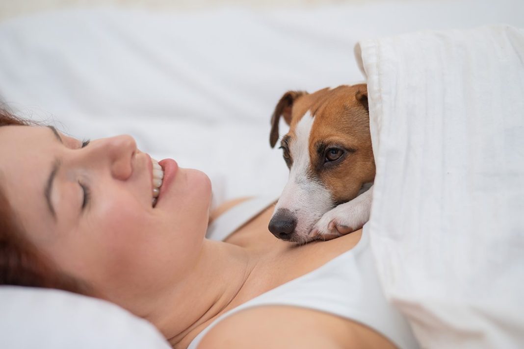 LOS PERROS REAFIRMAN EL LAZO CON SU DUEÑO