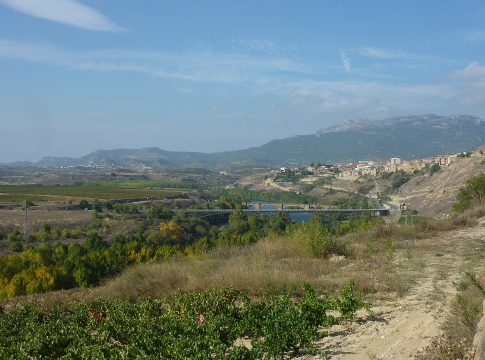 La Rioja La escapada perfecta para los amantes del vino: un recorrido por las bodegas de La Rioja