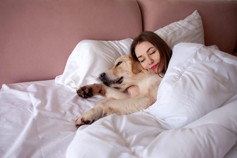 La ciencia explica lo que le pasa a tu cuerpo todas las noches si duermes con tu perro
