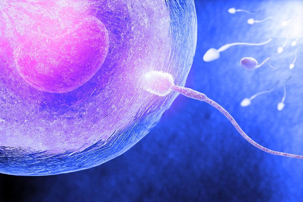 MAYOR INVESTIGACIÓN SOBRE SUS IMPLICACIONES EN LA FERTILIDAD