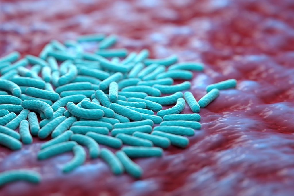 NUEVOS SENTIDOS MÁS ALLÁ DEL INTESTINO